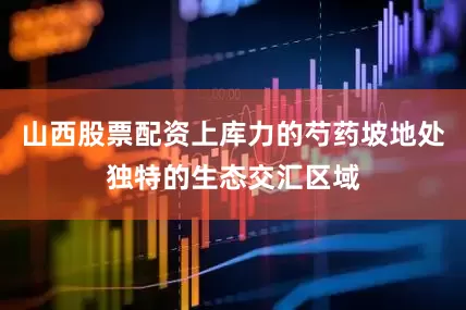 山西股票配资上库力的芍药坡地处独特的生态交汇区域
