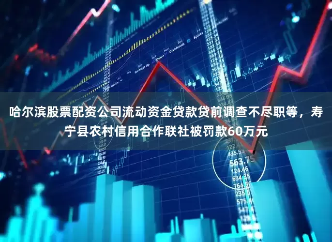 哈尔滨股票配资公司流动资金贷款贷前调查不尽职等，寿宁县农村信用合作联社被罚款60万元