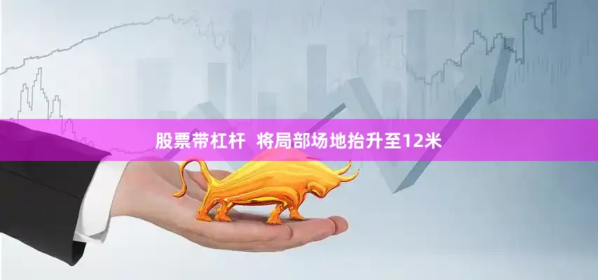 股票带杠杆  将局部场地抬升至12米