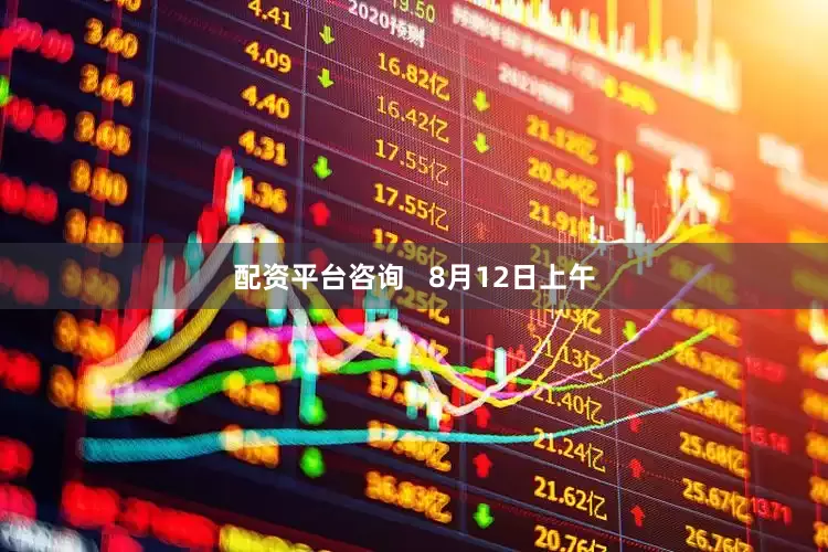配资平台咨询   8月12日上午